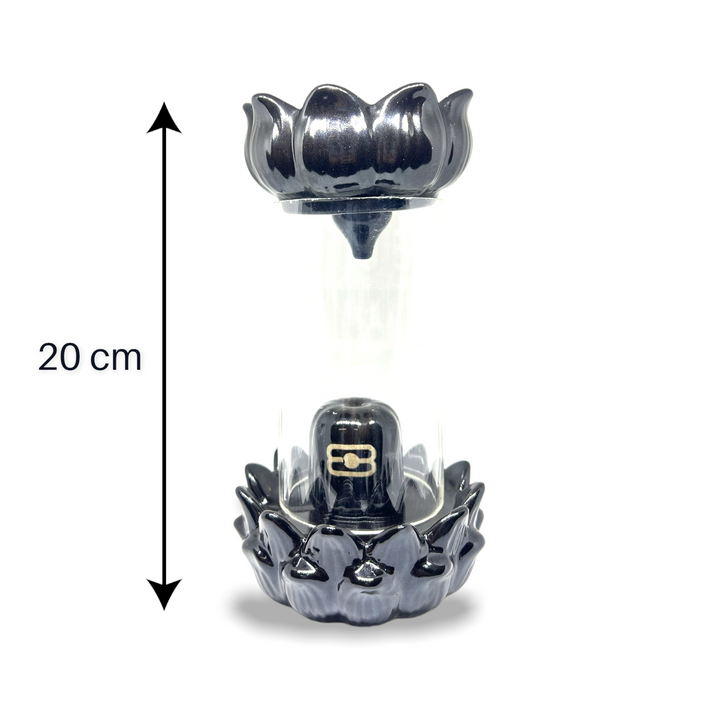 Experience Divine Essence Of Shiva